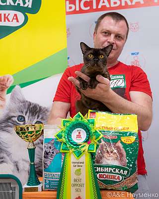 �������� ����� 16-17.04.2022 ���������� 4-110-0271_Moskva_16042022.jpg