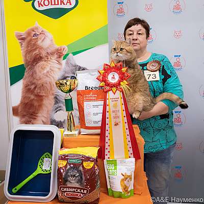 �������� ����� 16-17.04.2022 ���������� 15-73-0445_Moskva_17042022.jpg