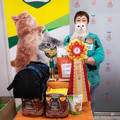 �������� ����� 16-17.04.2022 ���������� 2-85-0554_Moskva_17042022.jpg