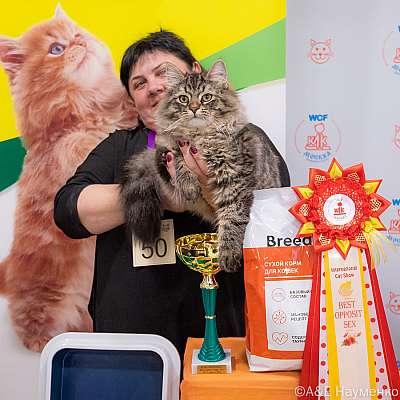 �������� ����� 16-17.04.2022 ���������� 7-50-0497_Moskva_17042022.jpg