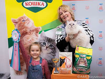 �������� ����� 16-17 ������ 2022 �., ������������ � ������ ���.