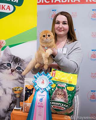 �������� ����� 16-17.04.2022 ���������� 2-83-0159_Moskva_16042022.jpg