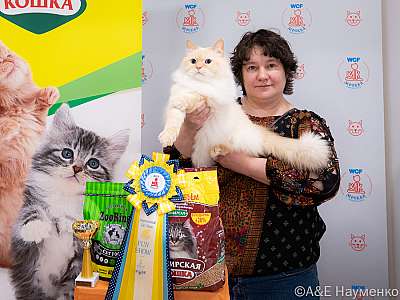 �������� ����� 16-17 ������ 2022 �., ������������ � ������ ���.