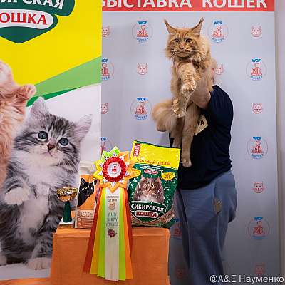 �������� ����� 16-17.04.2022 ���������� 3-14-0095_Moskva_16042022.jpg