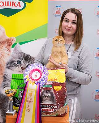 �������� ����� 16-17 ������ 2022 �., ������������ � ������ ���.