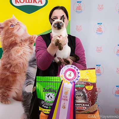 �������� ����� 16-17.04.2022 ���������� 4-91-0418_Moskva_17042022.jpg