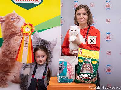 �������� ����� 16-17.04.2022 ���������� 10-80-0033_Moskva_16042022.jpg