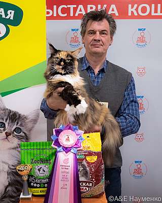 �������� ����� 16-17.04.2022 ���������� 3-16-0331_Moskva_17042022.jpg