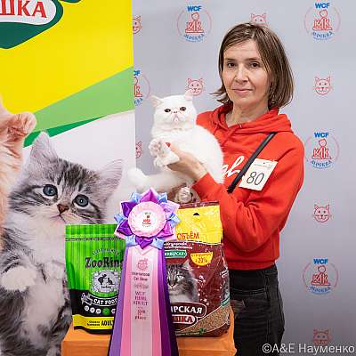 �������� ����� 16-17.04.2022 ���������� 8-80-0340_Moskva_17042022.jpg