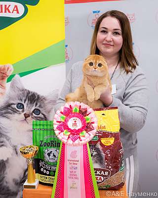 �������� ����� 16-17 ������ 2022 �. WCF-�����