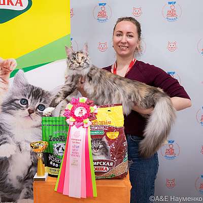 �������� ����� 16-17.04.2022 ���������� 2-19-0320_Moskva_17042022.jpg