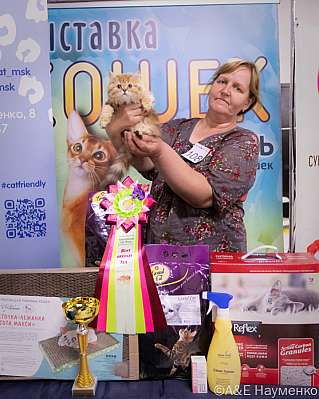 �������� ����� 23-24.07.2022 ���������� 10-108-IMG_6340.jpg