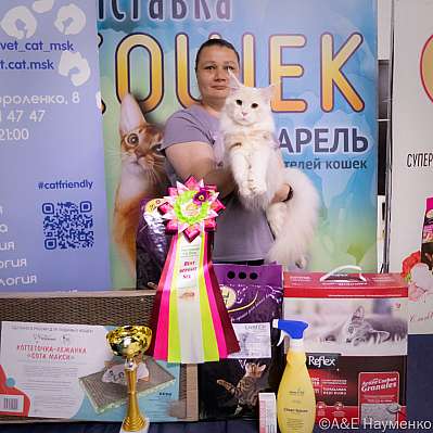 �������� ����� 23-24.07.2022 ���������� 7-13-IMG_6488.jpg