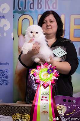 �������� ����� 23-24.07.2022 ���������� 9-110-IMG_6427.jpg