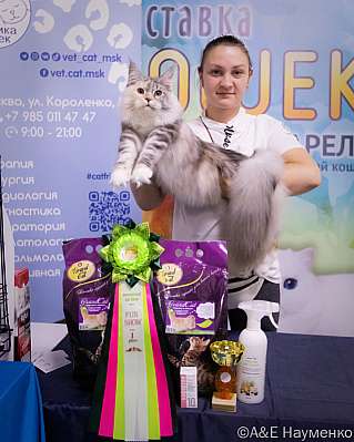 �������� ����� 23-24 ���� 2022 �., ������������ � ������ ���.