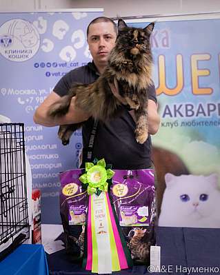 �������� ����� 23-24.07.2022 ���������� 4-91-IMG_3994.jpg