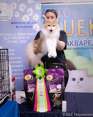 �������� ����� 23-24.07.2022 ���������� 7-89-IMG_3974.jpg