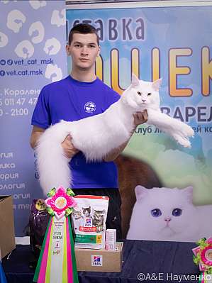 �������� ����� 23-24.07.2022 ���������� 4-27-IMG_6171.jpg