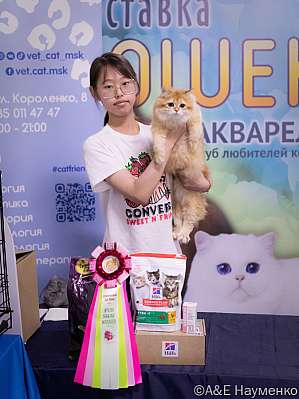 �������� ����� 23-24.07.2022 ���������� 8-3-IMG_6147.jpg