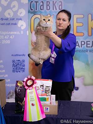 �������� ����� 23-24.07.2022 ���������� 9-65-IMG_6203.jpg