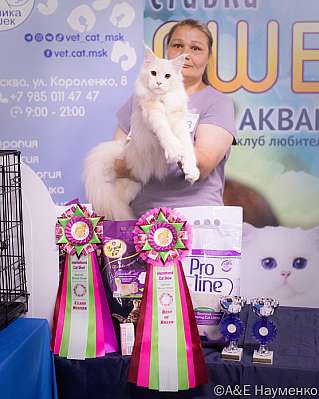 �������� ����� 23-24 ���� 2022 �., ������������ � ������ ���.