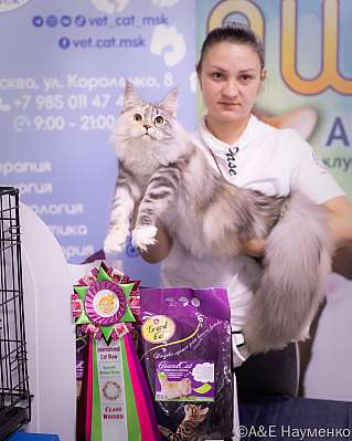 �������� ����� 23-24.07.2022 ���������� 5-18-image535.jpg