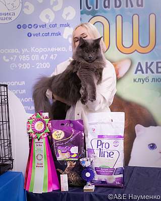 �������� ����� 23-24.07.2022 ���������� 6-7-image781.jpg