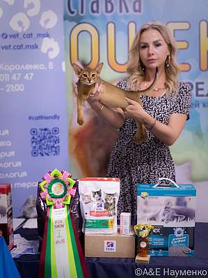 �������� ����� 23-24 ���� 2022 �., ������������ � ������ ���.