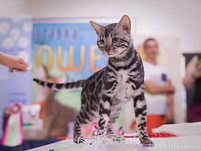 �������� ����� 23-24.07.2022 ���������� 8-103-IMG_6118.jpg