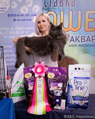 �������� ����� 23-24 ���� 2022 �., ������������ � ������ ���.