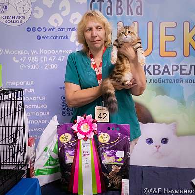 �������� ����� 23-24.07.2022 ���������� 6-42-image855.jpg