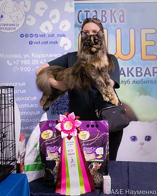 �������� ����� 23-24.07.2022 ���������� 8-91-IMG_3597.jpg