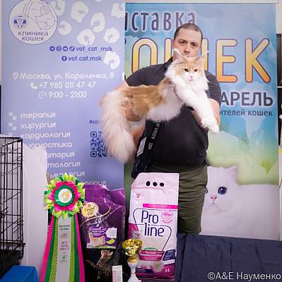 �������� ����� 23-24.07.2022 ���������� 4-89-image1641.jpg