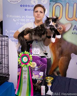 �������� ����� 23-24.07.2022 ���������� 5-97-image1660.jpg