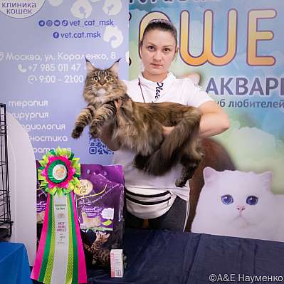 �������� ����� 23-24.07.2022 ���������� 7-16-image10.jpg