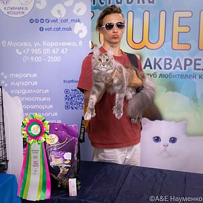 �������� ����� 23-24.07.2022 ���������� 9-92-image44.jpg