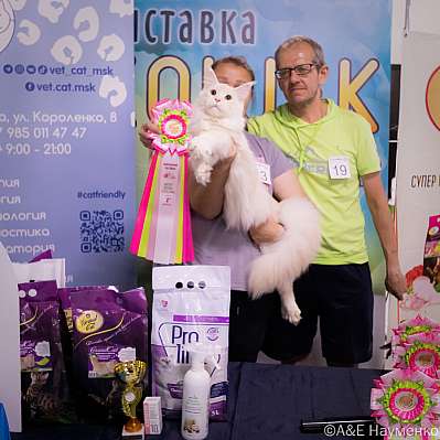 �������� ����� 23-24 ���� 2022 �. WCF-�����