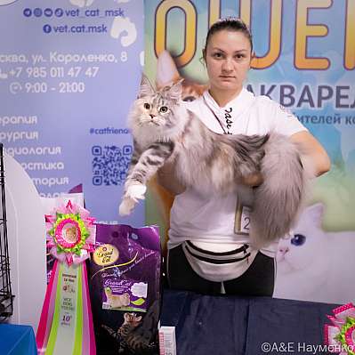 �������� ����� 23-24.07.2022 ���������� 10-18-image88.jpg