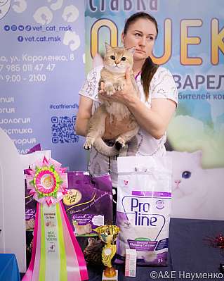 �������� ����� 23-24.07.2022 ���������� 4-65-image218.jpg