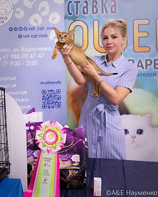 �������� ����� 23-24.07.2022 ���������� 6-93-image185.jpg