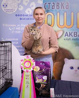 �������� ����� 23-24.07.2022 ���������� 9-75-image118.jpg