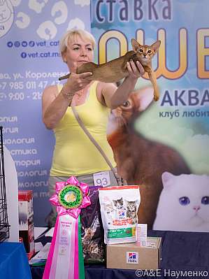 �������� ����� 23-24.07.2022 ���������� 6-93-IMG_4928.jpg