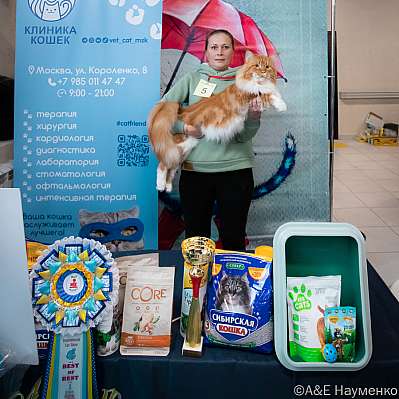   17-18.09.2022  1-5-0259_klk_Moskva.jpg