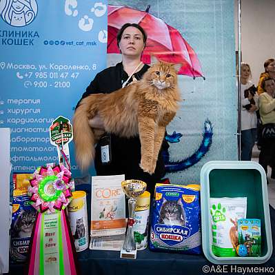   17-18.09.2022  13-8-0207_klk_Moskva.jpg