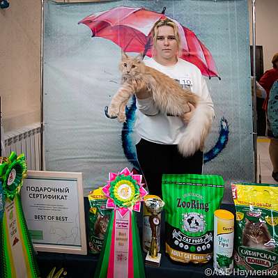 �������� ����� 17-18.09.2022 ���������� 10-10-0506_klk_Moskva.jpg