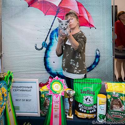 �������� ����� 17-18.09.2022 ���������� 11-83-0508_klk_Moskva.jpg