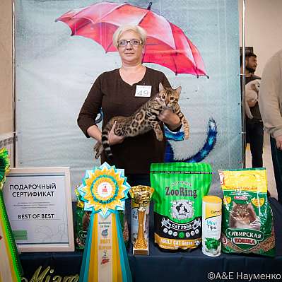 �������� ����� 17-18.09.2022 ���������� 13-49-0501_klk_Moskva.jpg