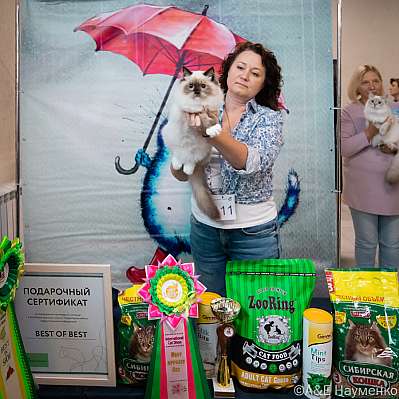 �������� ����� 17-18.09.2022 ���������� 14-111-0486_klk_Moskva.jpg