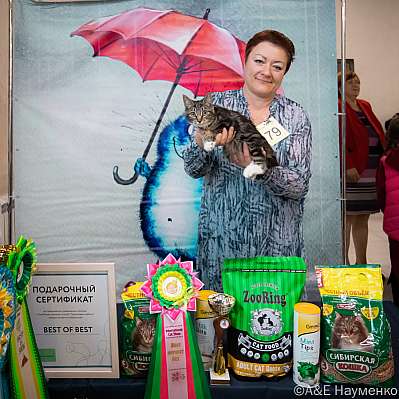 �������� ����� 17-18.09.2022 ���������� 15-79-0497_klk_Moskva.jpg