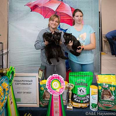 �������� ����� 17-18.09.2022 ���������� 16-50-0477_klk_Moskva.jpg